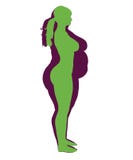 Obesidade da mulher e ilustração saudável da mulher ilustração do vetor Obesidade da mulher e ilustração saudável da mulher ilustração do vetor
