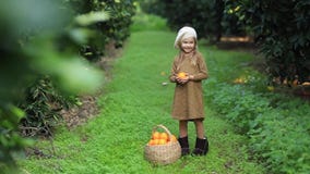 Obstkorbmädchen mit Orange in den Händen stock video footage Obstkorbmädchen mit Orange in den Händen stock video footage