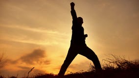 Obsługuje wojownik sztuk samoobrony michaelita sylwetki karate ćwiczy kung Fu na trawiastym horyzoncie przy zmierzchem Karate kop zdjęcie wideo Obsługuje wojownik sztuk samoobrony michaelita sylwetki karate ćwiczy kung Fu na trawiastym horyzoncie przy zmierzchem Karate kop zdjęcie wideo