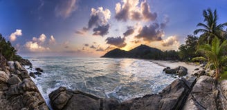 Ocean seashore with palm at sunrise in Phangan island Royalty Free Stock Photo Ocean seashore with palm at sunrise in Phangan island Royalty Free Stock Photo