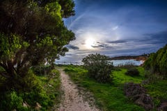 Ocean, sky, sun and trees near the beach in Portimao, Portugal Royalty Free Stock Images Ocean, sky, sun and trees near the beach in Portimao, Portugal Royalty Free Stock Images