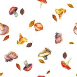 ocks? vektor f?r coreldrawillustration Kantarellchampinjon plocka svamp orangen royaltyfri illustrationer ocks? vektor f?r coreldrawillustration Kantarellchampinjon plocka svamp orangen royaltyfri illustrationer