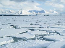 Océano ártico - hielo de paquete en la superficie del mar fotos de archivo libres de regalías Océano ártico - hielo de paquete en la superficie del mar fotos de archivo libres de regalías