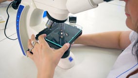 Odgórny widok żeński naukowiec egzamininuje coś pod mikroskopem zbiory wideo Odgórny widok żeński naukowiec egzamininuje coś pod mikroskopem zbiory wideo
