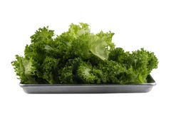 Odizolowywa zielonych liści sałatkowego warzywa na białych, świeżych delicios, zdjęcie stock Odizolowywa zielonych liści sałatkowego warzywa na białych, świeżych delicios, zdjęcie stock