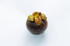 Odosobniony mangostan na bia?ym tle Mangostan jest królową owoc w Tajlandia i Asia owoc cukierki Świeży zmrok zdjęcie royalty free Odosobniony mangostan na bia?ym tle Mangostan jest królową owoc w Tajlandia i Asia owoc cukierki Świeży zmrok zdjęcie royalty free