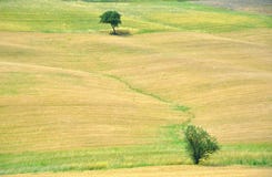 odpowiada Tuscan obraz royalty free odpowiada Tuscan obraz royalty free