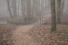 Oe es un puente fantasmagórico en un la más forrest de niebla foto de archivo libre de regalías Oe es un puente fantasmagórico en un la más forrest de niebla foto de archivo libre de regalías