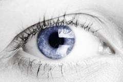 Oeil bleu de femme photo stock Oeil bleu de femme photo stock