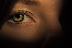 Oeil sur le visage femelle sur le fond d'ombre image libre de droits Oeil sur le visage femelle sur le fond d'ombre image libre de droits
