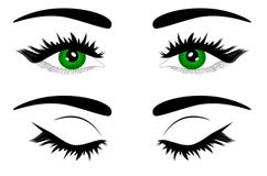 Oeil vert femelle d'illustration de vecteur de Web bel illustration libre de droits Oeil vert femelle d'illustration de vecteur de Web bel illustration libre de droits