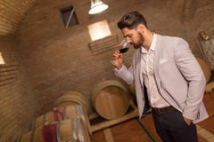 Oenologist tasting wines in cellar royalty free stock photos Oenologist tasting wines in cellar royalty free stock photos