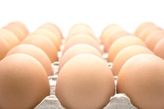 Oeuf de poulet de Brown images stock Oeuf de poulet de Brown images stock