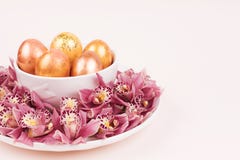 Oeufs colorés d'un plat photos stock Oeufs colorés d'un plat photos stock