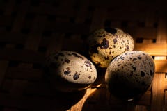 Oeufs de caille de matin image libre de droits Oeufs de caille de matin image libre de droits