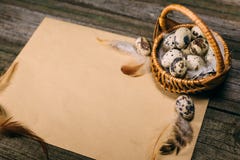 Oeufs de caille de plan rapproché à l'intérieur de peu de panier sur la feuille de papier sur le fond en bois rustique Photographie stock libre de droits Oeufs de caille de plan rapproché à l'intérieur de peu de panier sur la feuille de papier sur le fond en bois rustique Photographie stock libre de droits