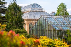 Ogród botaniczny z kolorowymi kwitnącymi różanecznikami i more=der obraz stock Ogród botaniczny z kolorowymi kwitnącymi różanecznikami i more=der obraz stock