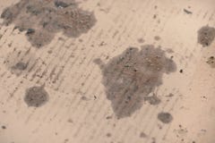 Oil Stains On Cardboard Cheap Oil Leak Absorbing Stock Photo