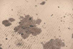 Oil Stains On Cardboard Cheap Oil Leak Absorbing Stock Image