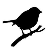 Oiseau de haute qualité de silhouette sur la branche de cendre illustration de vecteur Oiseau de haute qualité de silhouette sur la branche de cendre illustration de vecteur