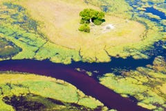 Okavango Delta Aerial View Royalty Free Stock Photos