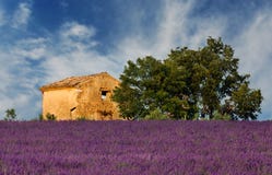 Old barn in Provence