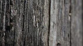 Old black wooden texture background