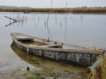Old boat filled with water Royalty Free Stock Photo Old boat filled with water Royalty Free Stock Photo