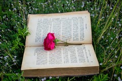 An old book on the grass, a rose as a sign of the book. suitable for book cover, illustration, presentation, invitation royalty free stock image An old book on the grass, a rose as a sign of the book. suitable for book cover, illustration, presentation, invitation royalty free stock image