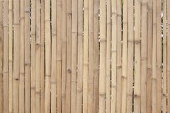 Old brown bamboo for make fence, hut or wall home. royalty free stock photos Old brown bamboo for make fence, hut or wall home. royalty free stock photos
