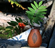 Old ceramic vase with rowan branch stock photography Old ceramic vase with rowan branch stock photography