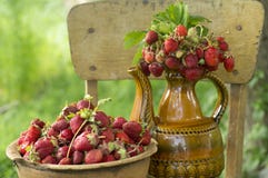 Old clay pot full of fresh red strawberries and ceramic decorative jug with strawberries on the chair royalty free stock photography Old clay pot full of fresh red strawberries and ceramic decorative jug with strawberries on the chair royalty free stock photography