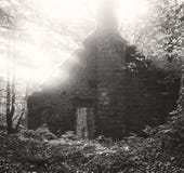 An old derelict mill building in the woods