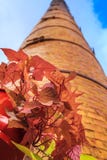 Old factory chimney stock image Old factory chimney stock image