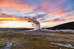Old and faithful Geyser erupting at Yellowstone National Park