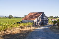 Old Farmhouse In The Middle Of The Vineyards Stock Photo