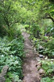 Old garden pathway surrounded with greenery. Old green garden pathway surrounded with garden design details Stock Images Old garden pathway surrounded with greenery. Old green garden pathway surrounded with garden design details Stock Images