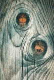 Old Gray Wood With Knots In Two Royalty Free Stock Image