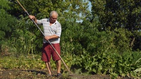 Old Man, Village Resident Harvesting Weed on the Garden with Gravel Aid stock video Old Man, Village Resident Harvesting Weed on the Garden with Gravel Aid stock video