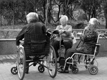 Image result for three old men in wheelchairs