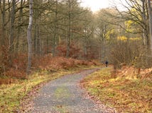Old railway track now walkway, Wyre Forest royalty free stock photo Old railway track now walkway, Wyre Forest royalty free stock photo