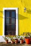 Old San Juan - Yellow Walls, Potted Plants Royalty Free Stock Photo Old San Juan - Yellow Walls, Potted Plants Royalty Free Stock Photo