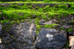 Old stone wall covered green moss Stock Images Old stone wall covered green moss Stock Images