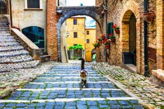 Old streets of Italian villages. Casperia in Rieti,Lazio. Royalty Free Stock Photography Old streets of Italian villages. Casperia in Rieti,Lazio. Royalty Free Stock Photography