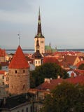 Rooftops of the old town of Tallinn