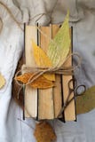 Old vintage books and autumn leaves