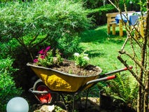 Old wheelbarrow used as flower pot. stock photo Old wheelbarrow used as flower pot. stock photo