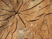 Old Wood Grain Cracks Texture Royalty Free Stock Photos Old Wood Grain Cracks Texture Royalty Free Stock Photos