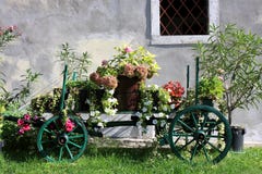 Old Wooden Cart With Colorful Flowers Stock Image