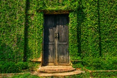 Old Wooden Door In The Wall Royalty Free Stock Photography